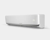 کولر گازی 30000 فوجی